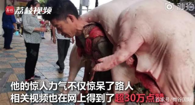 令人心酸！贵阳背肉汉回应背480斤猪肉：靠这个体力活养活了一家人