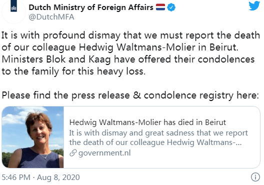 荷兰外交部：荷兰驻黎巴嫩大使夫人因爆炸身亡