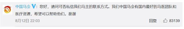 马主人回应下海救人两匹马去世，回应说了什么？具体什么情况？