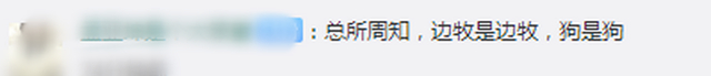 牧羊犬滑滑板下30级楼梯 网友：被一条狗帅到了