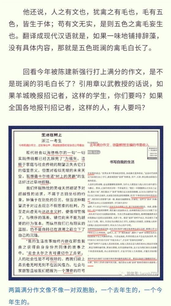 摊上大事了！浙江满分作文阅卷组长被举报 《生活在树上》与去年形式如出一辙