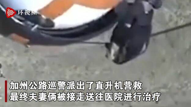美国一对夫妻被牛母子堵在路上 巡警派直升机把人接走