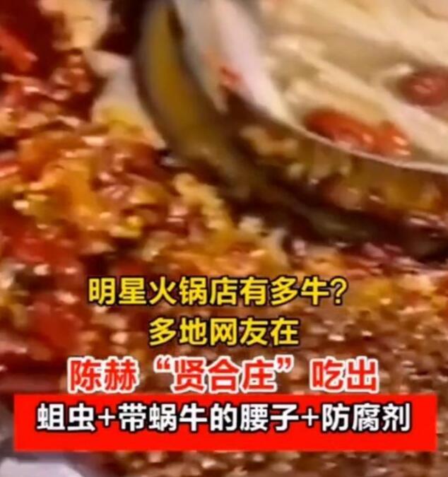 【最新】陈赫火锅店回应卫生问题上热搜 蛆虫、蜗牛