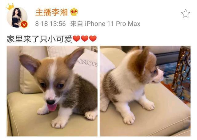 现实版顾佳许幻山?王岳伦再曝与美女搂腰亲密照 夫妻店解体,婚姻名存实亡