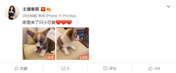内涵了！王岳伦表白李湘王诗龄再曝与美女搂腰亲密照 李湘发了条晒狗博文