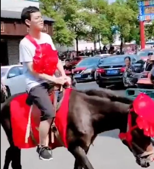 男生录取北大骑马戴红花返乡 网友：全村的骄傲！