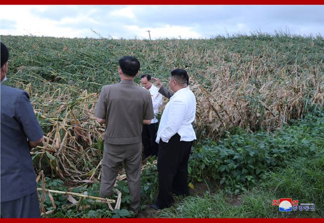 朝鲜最高领导人金正恩考察台风受灾地区灾情