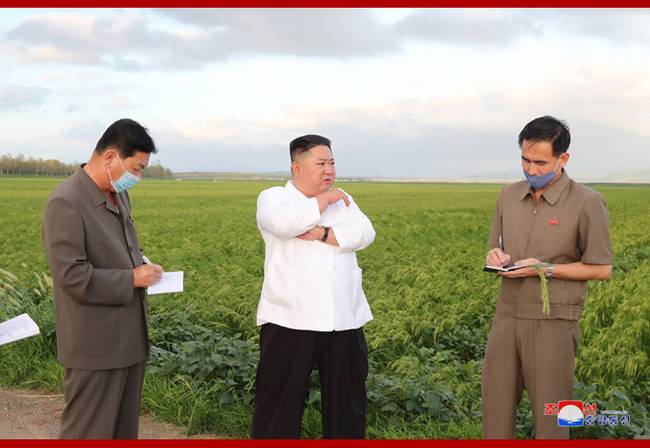 朝鲜最高领导人金正恩考察台风受灾地区灾情