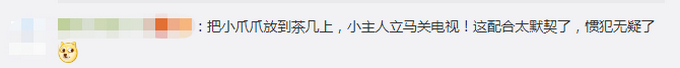 狗子成精 !宠物狗帮女孩监听望风家长,边叫边用爪子指作业 网友:惯犯无疑了