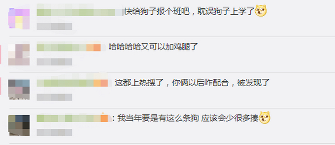 狗子成精 !宠物狗帮女孩监听望风家长,边叫边用爪子指作业 网友:惯犯无疑了