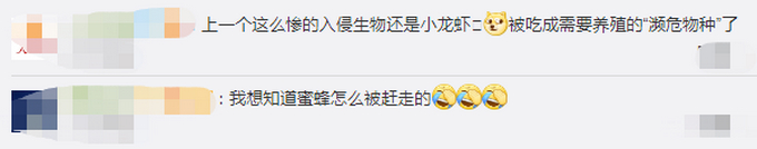 “甜的掉牙!”宿舍衣柜惊现蜂窝学生分食蜂蜜,网友:最惨宿舍入侵物