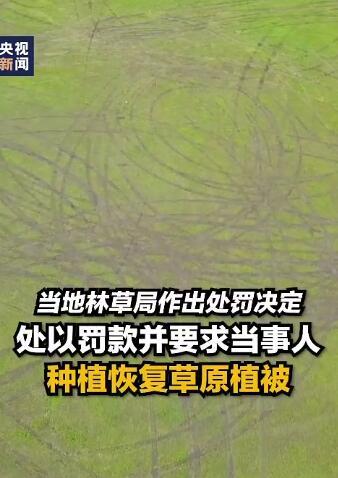 男子开车碾压草原被罚把草种回去 网友：活该！