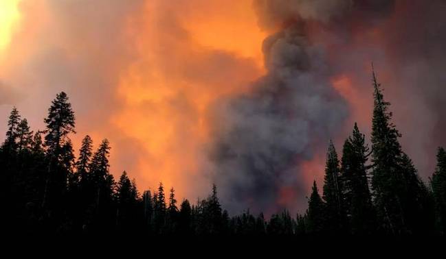 美国加州山火严重 周末高温加剧火势