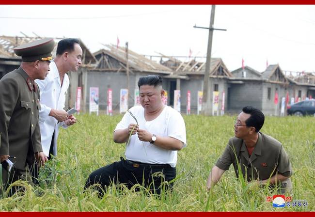 朝鲜最高领导人金正恩视察灾后重建工地