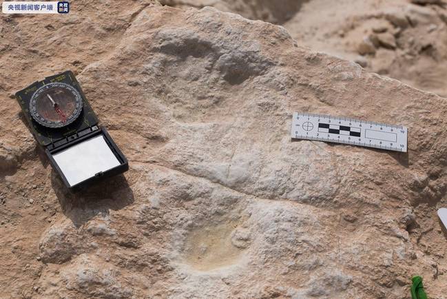 沙特遗产委员会：发现距今12万年前的人类脚印