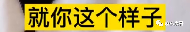 杨笠和储殷的口水大战，是最近最好笑的笑话了吧