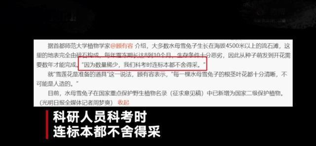 男星刘宇宁疑采摘雪莲遭痛批，道歉回应是道具却被专家打脸