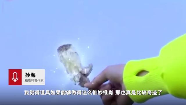 男星刘宇宁疑采摘雪莲遭痛批，道歉回应是道具却被专家打脸