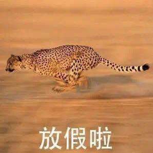 滴滴打车出现宕机现象,高德地图神补刀