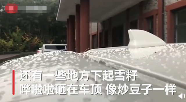 河南多景区飘起鹅毛大雪 金顶楼阁雪花漫舞似古装剧