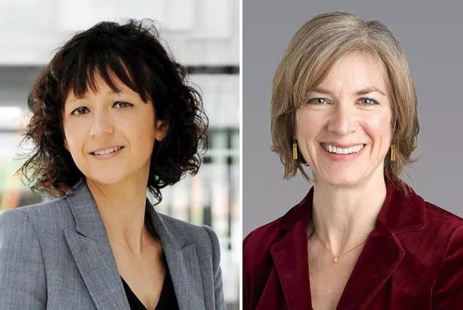 两名女科学家因为基因编辑技术获诺贝尔化学奖 女性诺奖得主增至7人