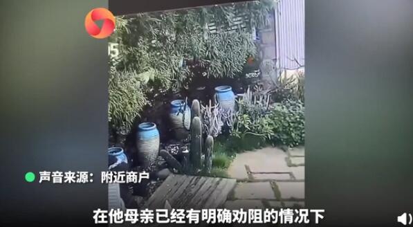 【引众怒】游客景区5脚踹断仙人掌，不文明行为就该拉黑