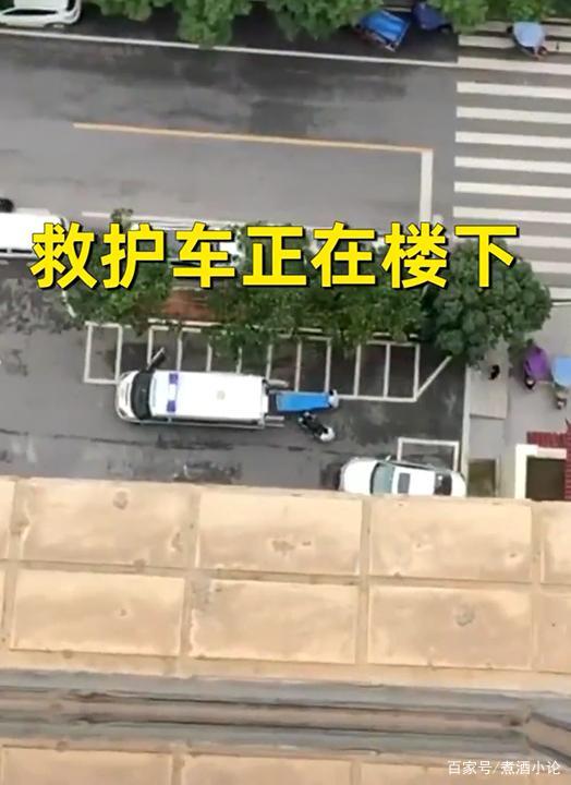 哈士奇把主人77岁奶奶气进医院 曾称自己的哈士奇跟别的不一样