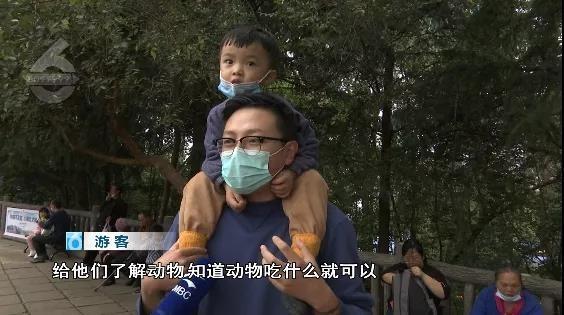 游客用裹塑料袋苹果投喂大象 网友看到视频气愤不已