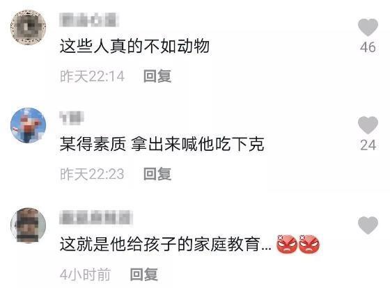 游客用裹塑料袋苹果投喂大象 网友看到视频气愤不已