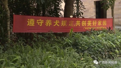 5岁男童遭狗扑咬整夜做噩梦，狗主人：孩子一夜哭到天亮绝对是假话