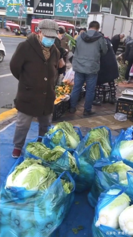 【我伙呆】东北大娘雇车囤300斤白菜，囤菜季到了! 