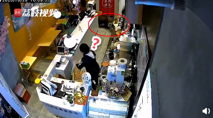 灵活的猪猪!南京一野猪窜进奶茶店吓坏女店员,网友评论:动物界的跨栏高手
