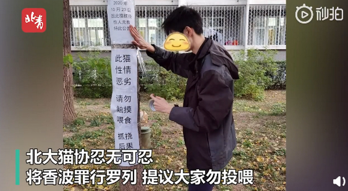骗吃骗喝!北大流浪猫因抓人被连贴12张告示,提议大家勿投喂