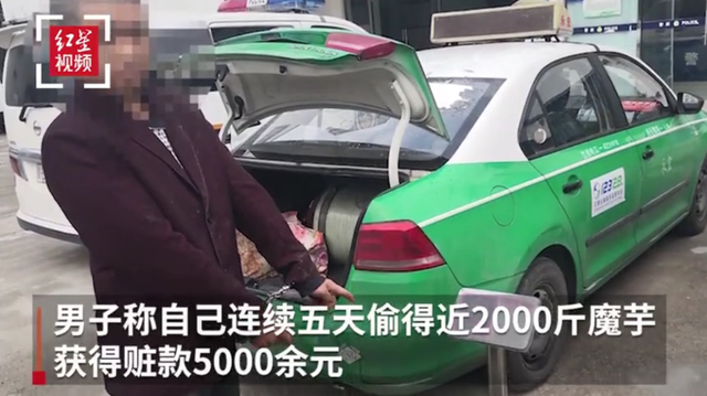 奇葩!绵阳北川县一男子为打赏女主播偷2000斤魔芋