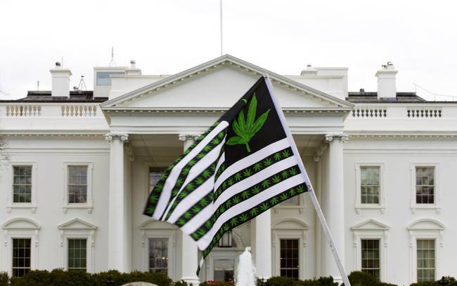 marijuana-activist-legalisation-white-house-washington-dc-1.jpg
