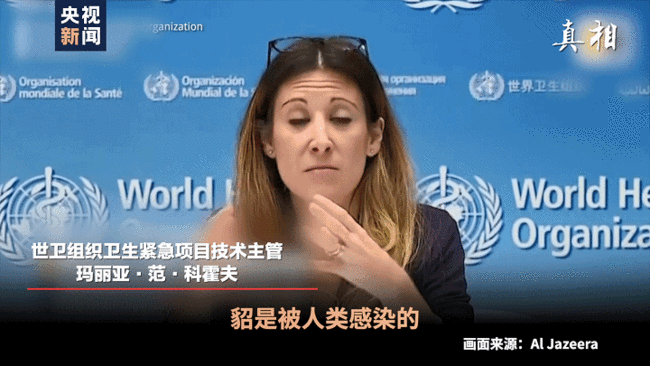 丹麦变异新冠病毒“貂传人”究竟多严重