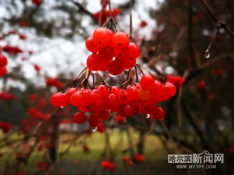 刚刚,暴雪预警升级为橙色!雨雪