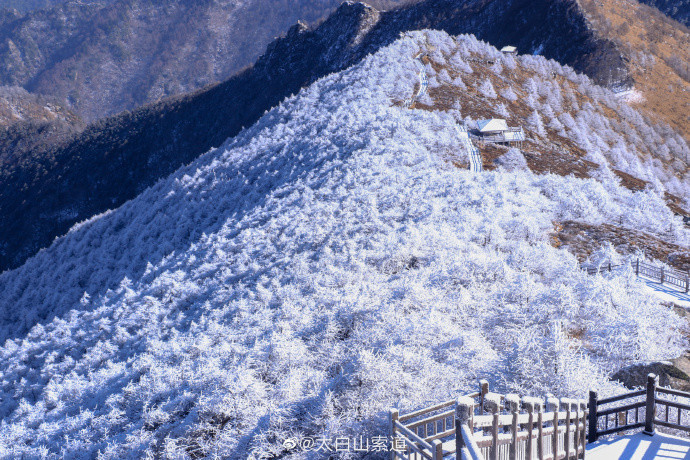 冰雪奇缘!秦岭太白山雪后雾凇美景 仿佛置身冰雪童话世界