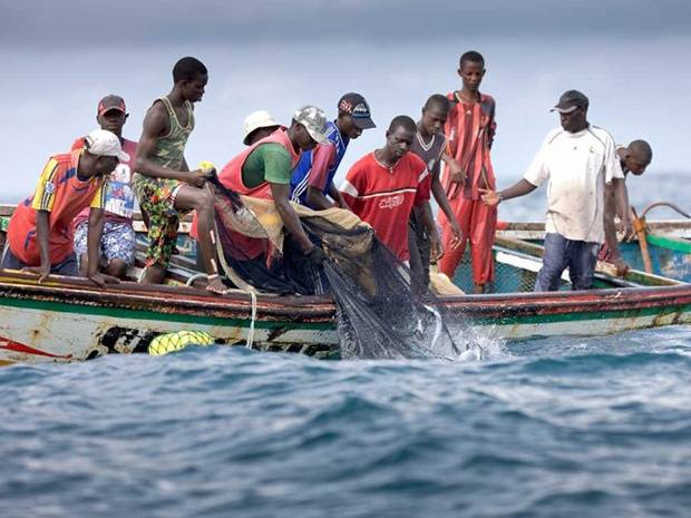 塞内加尔上百名渔民出现不明原因皮肤感染