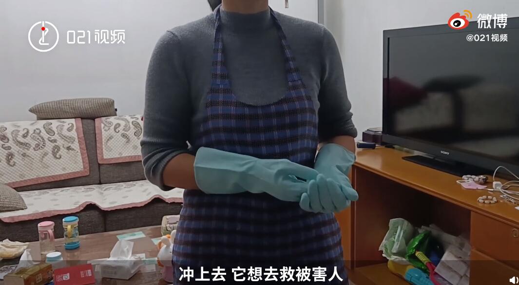 现场回访！上海杀妻焚尸案爱犬救主冲入火海 邻居回忆事发经过