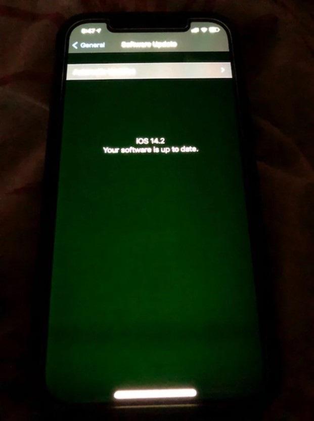 苹果承认iPhone12存绿屏问题 网友：还好我没买