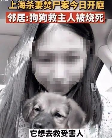 上海杀妻焚尸案更多细节曝光：爱犬救主冲入火海、生前已怀有身孕