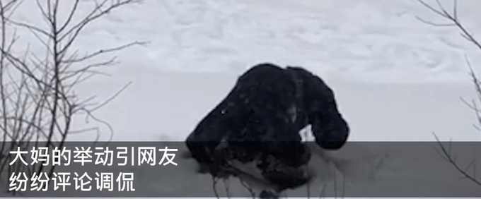 东北大妈用雪洗貂皮大衣 网友：get新技能