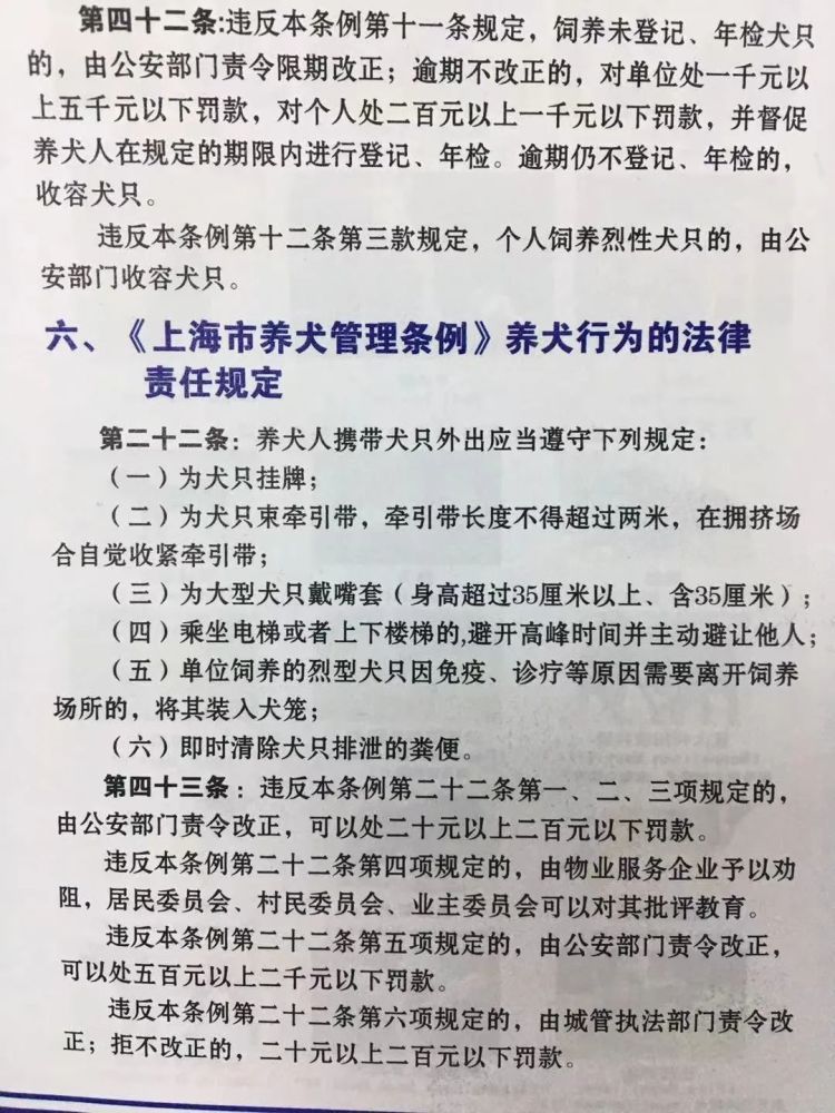 有新招了！上海不牵绳遛狗将被抓拍处罚，已抓拍处罚20多起