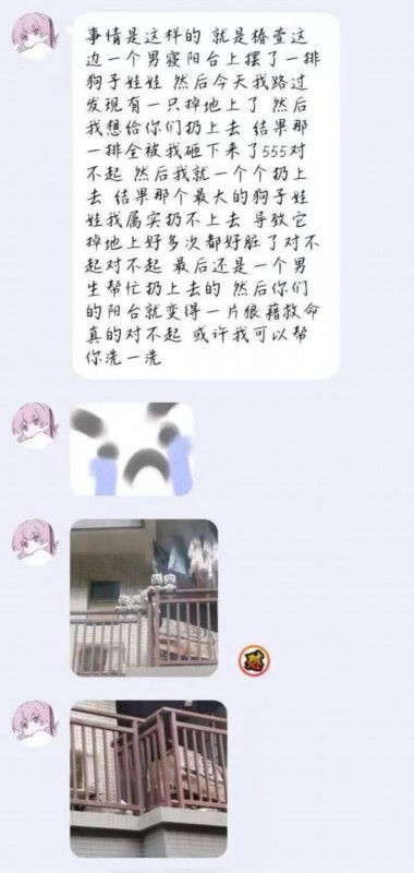 学校表白墙能有多好笑？网友：大学生生活指南建议加一条：防火防盗防狗子