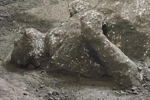 揭开面纱！2000年前死于火山喷发遗骸在庞贝古城被发现