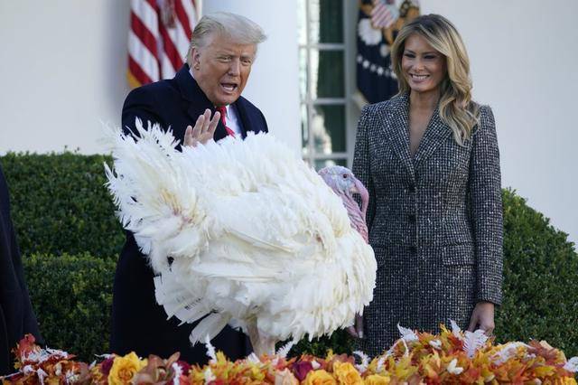 赦免感恩节火鸡的特朗普被问“是否会赦免自己”，笑而不语转身就走