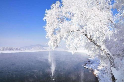 黑龙江日报发文为雪乡喊冤 屡被游客吐槽的雪乡冤吗？