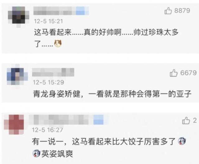 丁真得到一匹名叫青龙的赛马 网友在线呼叫“珍珠”