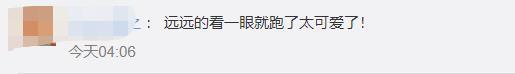 【跟着下凡】那个抢镜的小动物是谁？从嫦五返回器前跑过的是兔子